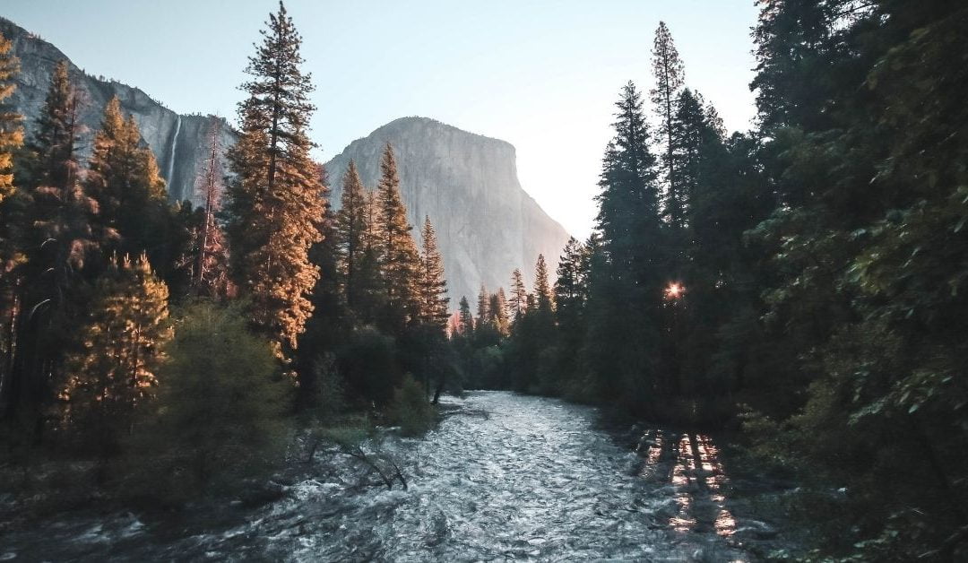 Living in Purpose