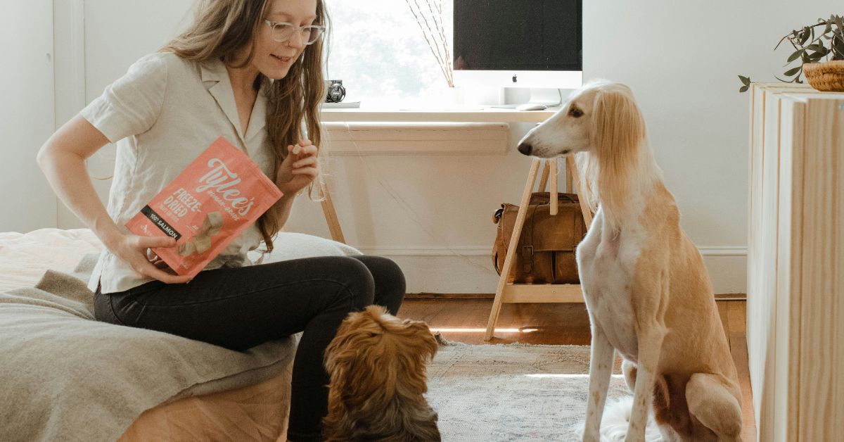 Woman-giving-treats-to-dogs-.jpg