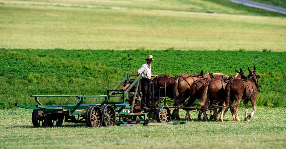 Blending-Amish-and-the-21st-Century.jpg
