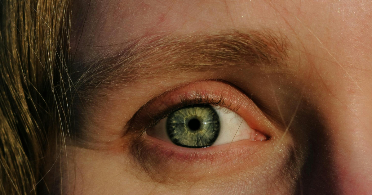 Seeing Through Another’s Eyes